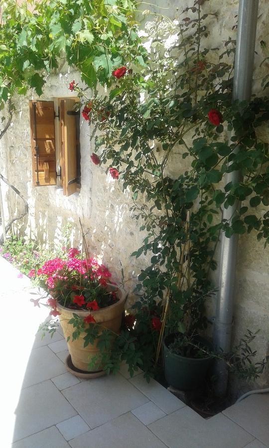 Apartment Elda Petrcane Εξωτερικό φωτογραφία