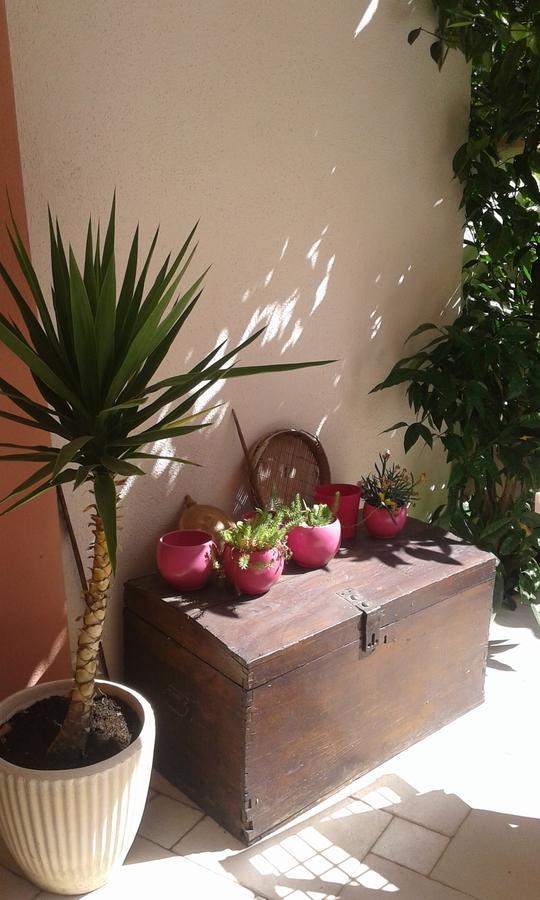 Apartment Elda Petrcane Εξωτερικό φωτογραφία