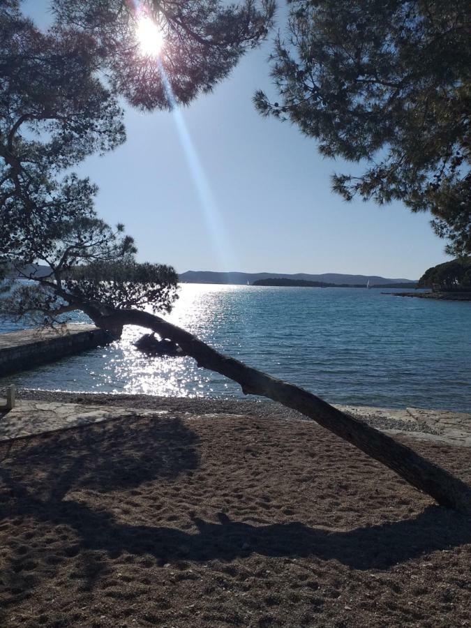 Apartment Elda Petrcane Εξωτερικό φωτογραφία